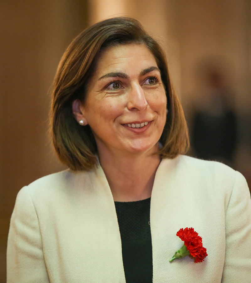 Legislatura 2019-2022