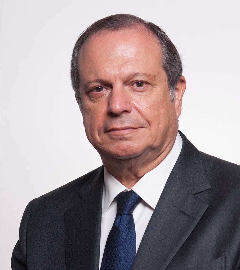 Legislatura 2015-2019